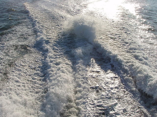p7270274