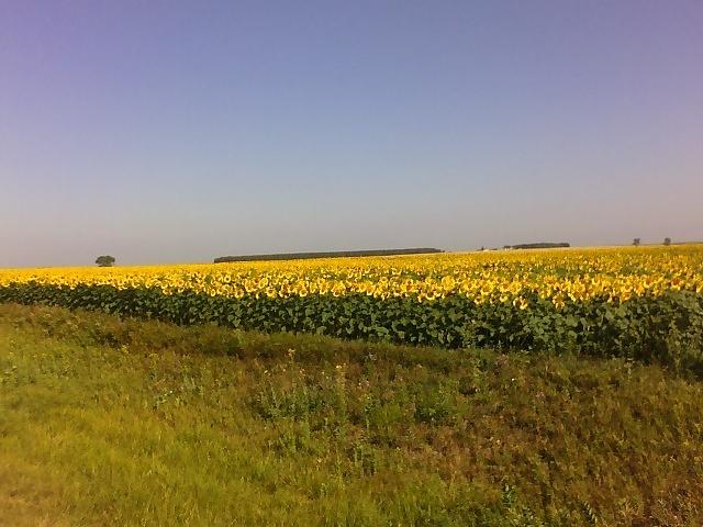 07-26-06_0914.jpg