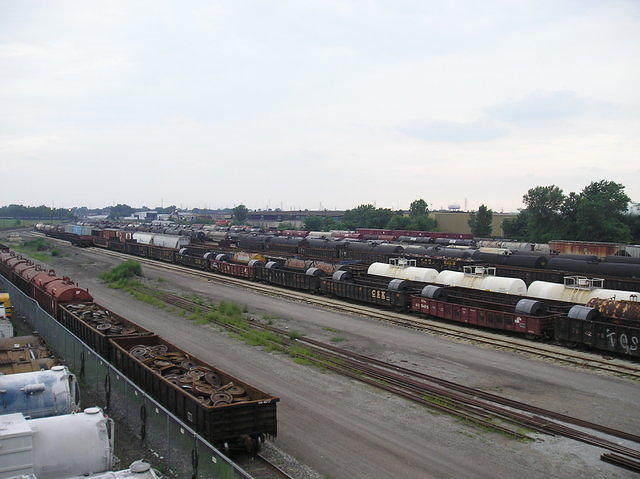 P1010010.JPG