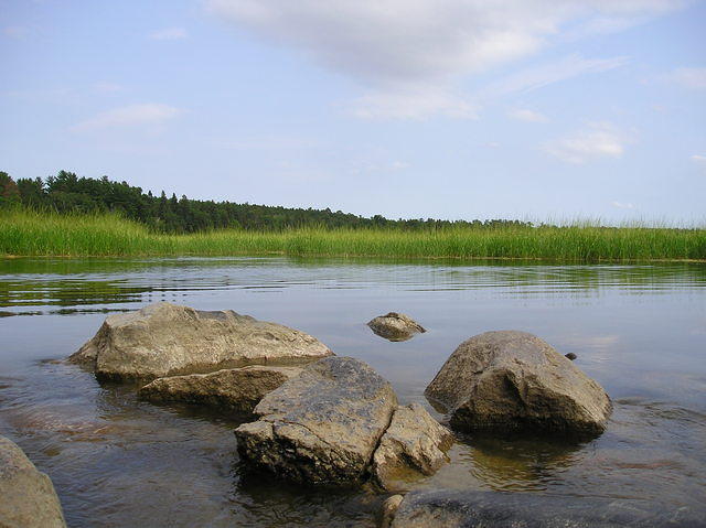 P1010061.JPG