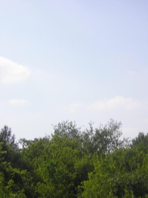 P1010149