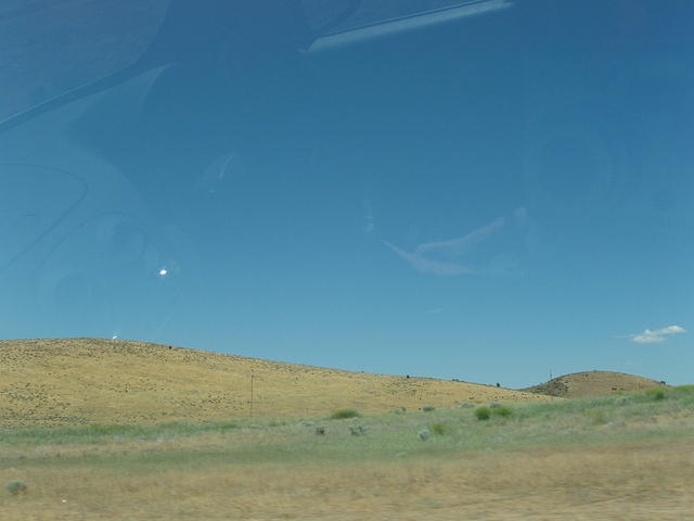 Out the Window