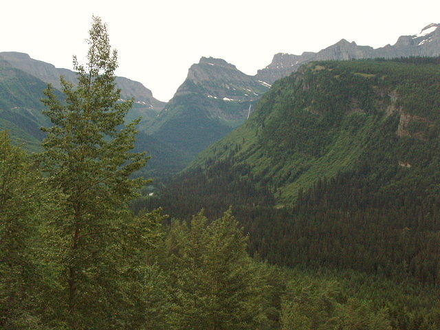 P7120016.JPG