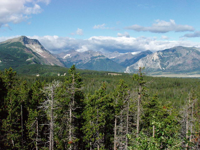 P7130030.JPG