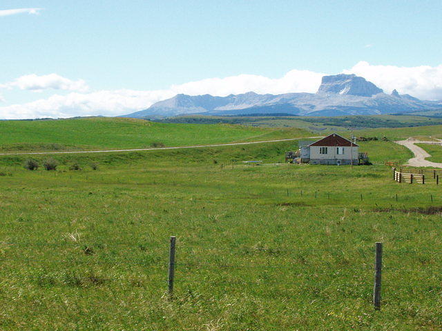 P7130036.JPG