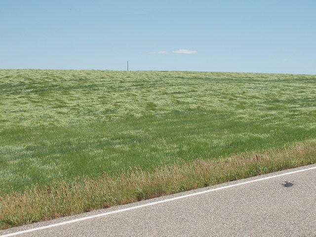 P7130040.JPG