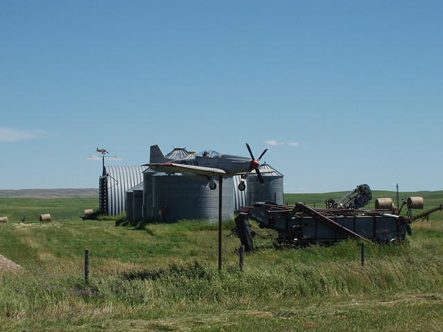 P7130042.JPG
