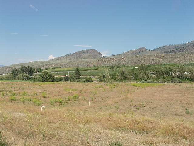 cut-out hills