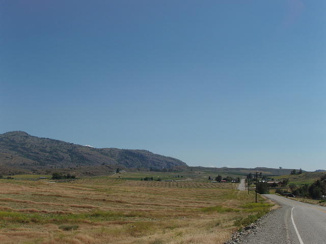 road going forever