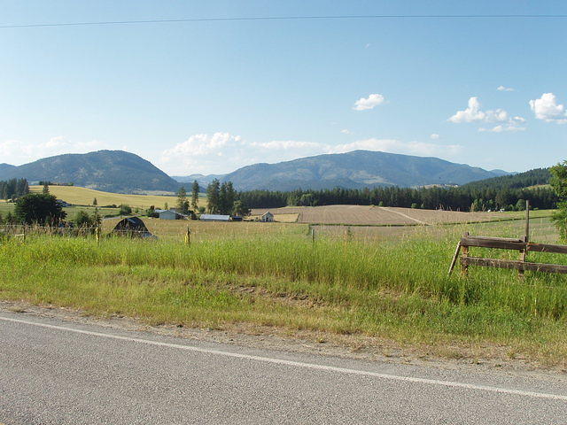 there were lots of bugs on this road - and greg sang a song about loose gravel