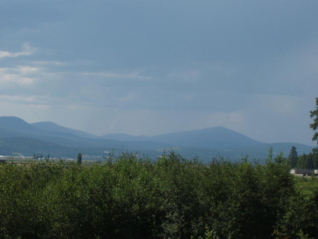 when we stopped to look at the buffalo we saw the storm clouds