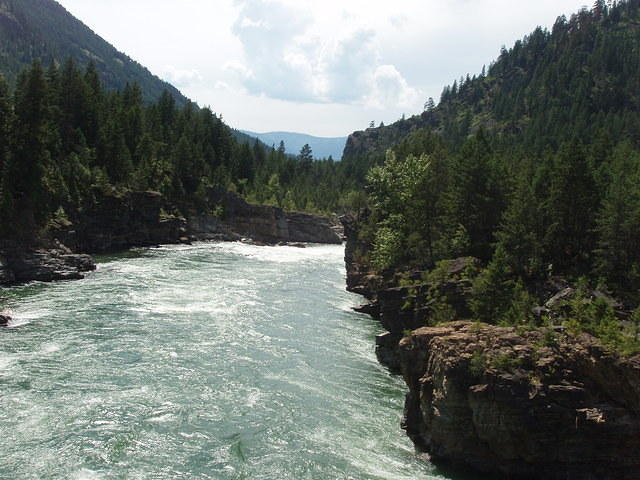 view from the bridge