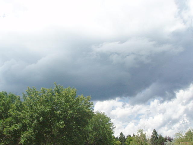 p7060199.jpg