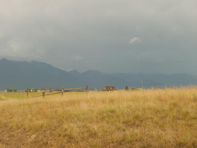 p7060204.jpg
