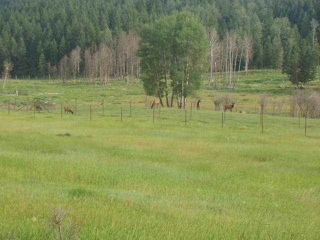 p7060205.jpg