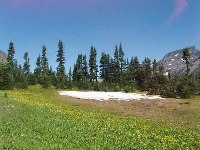 p7260223.jpg