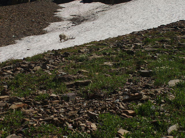p7260235.jpg