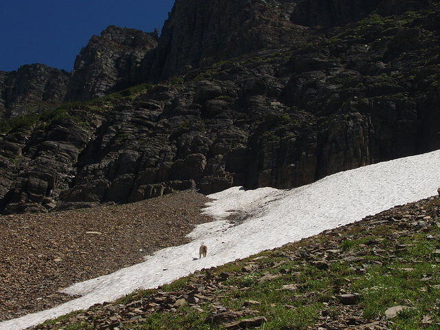 p7260236.jpg