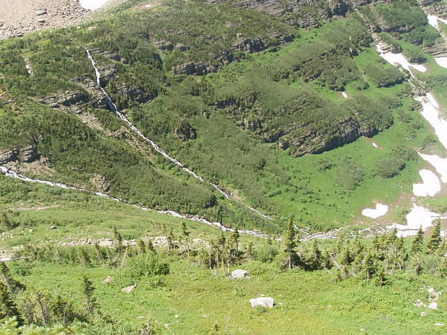 p7260238.jpg