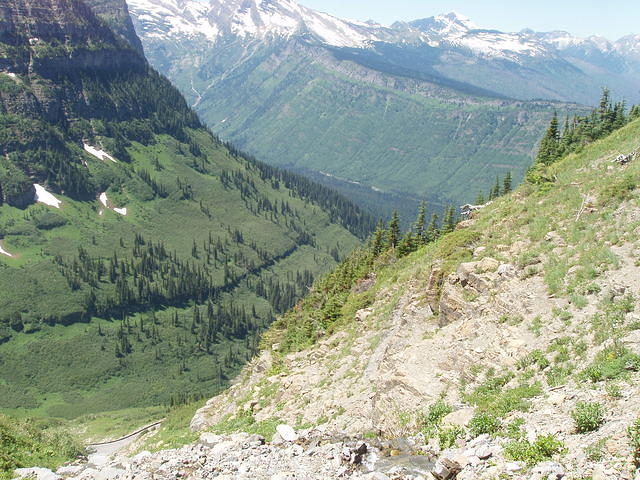 p7260243.jpg
