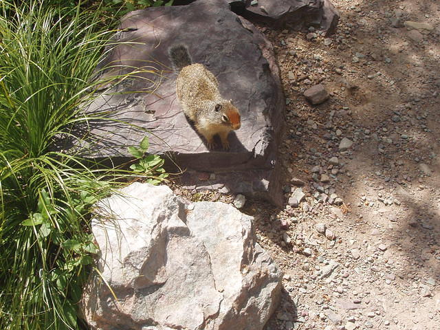 p7270278.jpg