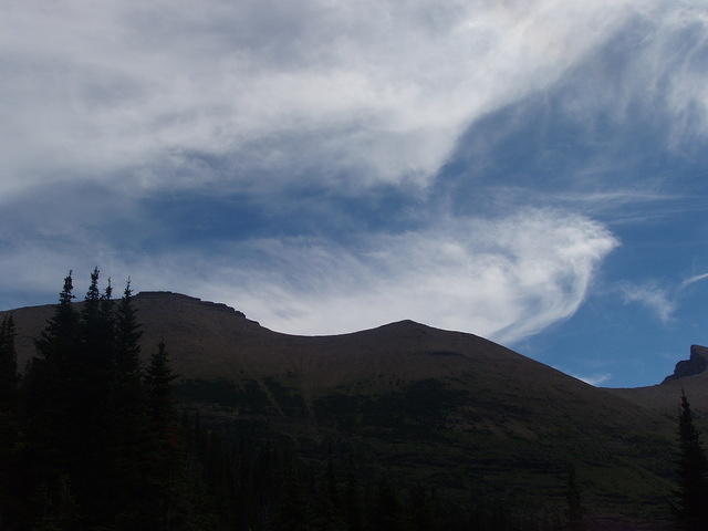 p7270283.jpg