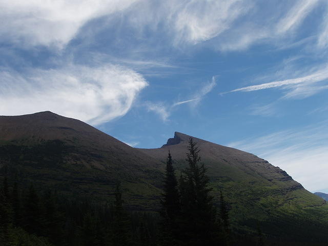 p7270284.jpg