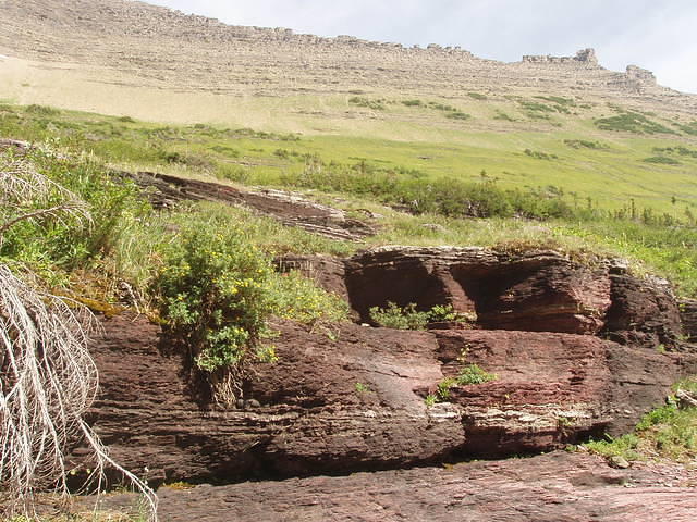 p7270285.jpg