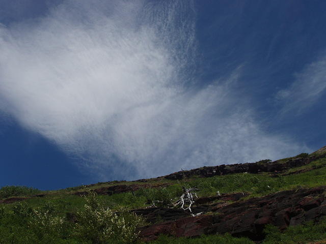 p7270294.jpg