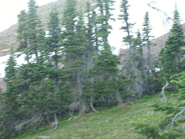 p7270308.jpg