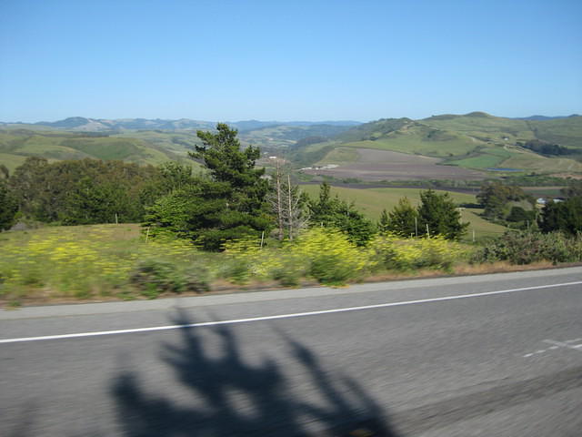IMG_1117.JPG