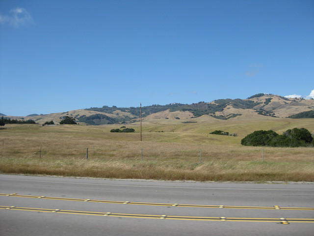IMG_1167.JPG