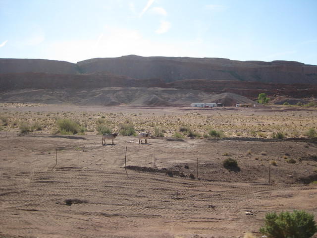 IMG 1214