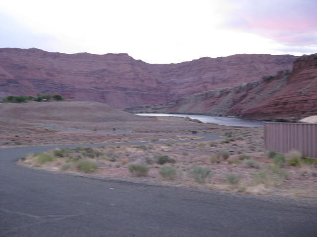 IMG 1239