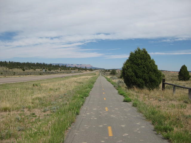IMG 1310