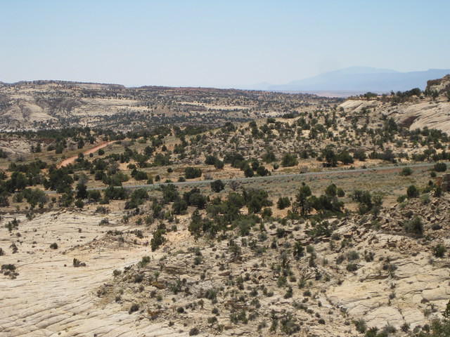IMG 1335
