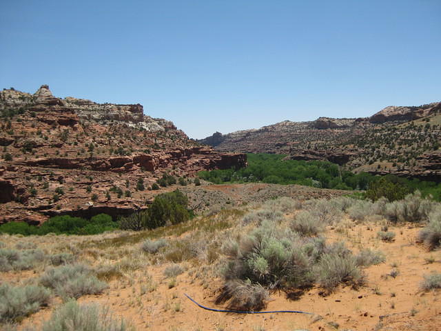 IMG 1338