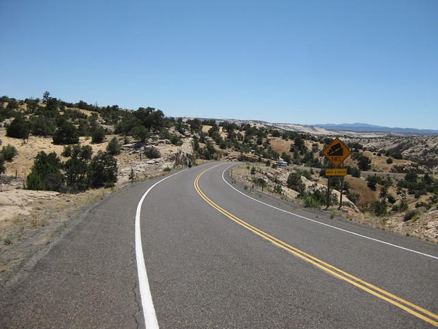 IMG 1345