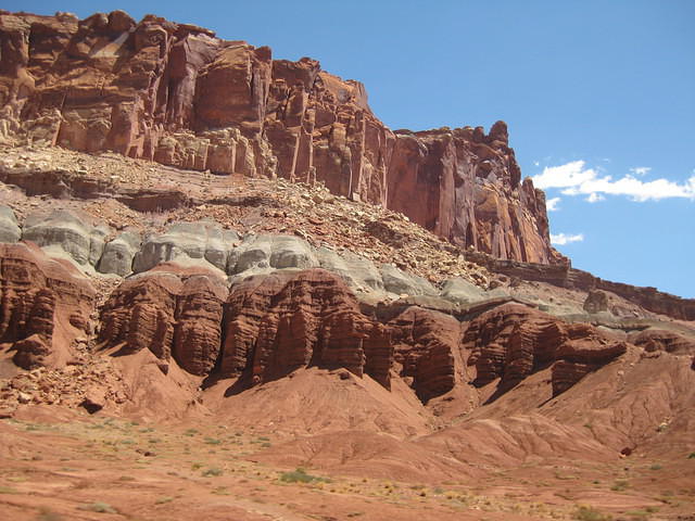 IMG 1351