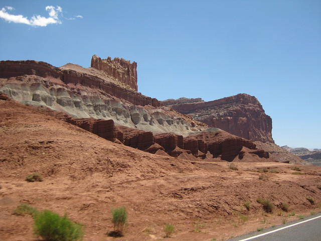 IMG 1352