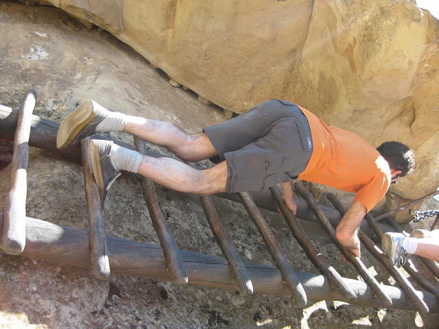 IMG 1368