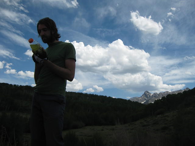 IMG 1384
