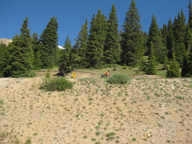 IMG 1429