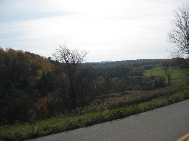 IMG 1501