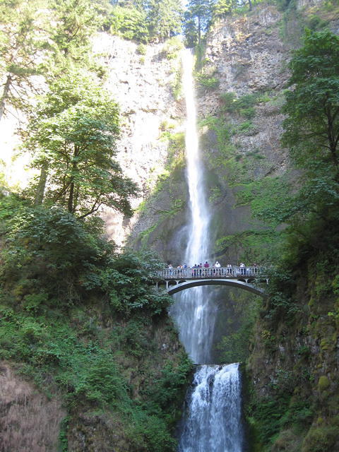 IMG 2008