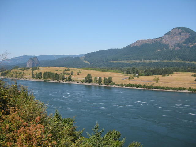 IMG 2011