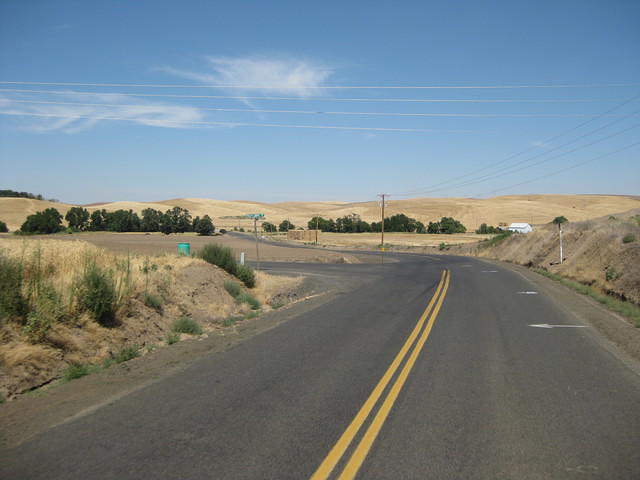 IMG 2025