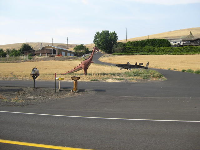 IMG 2035