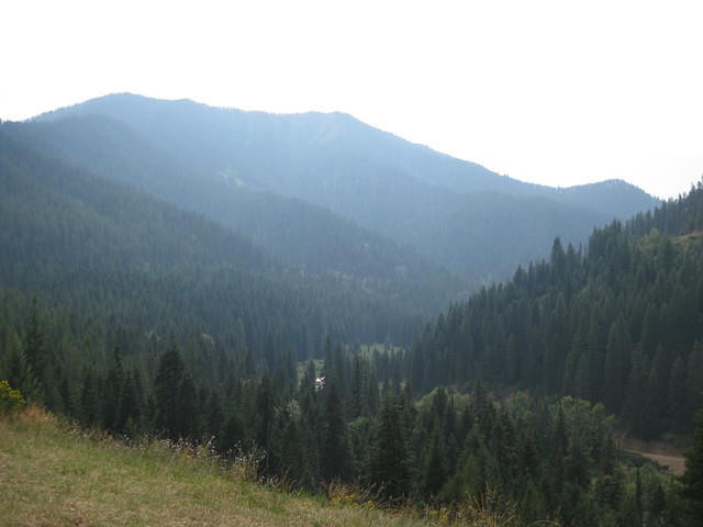 IMG 2058