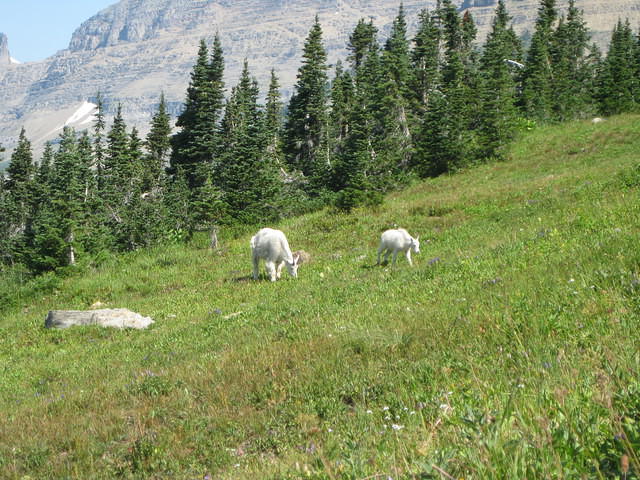 IMG 2085